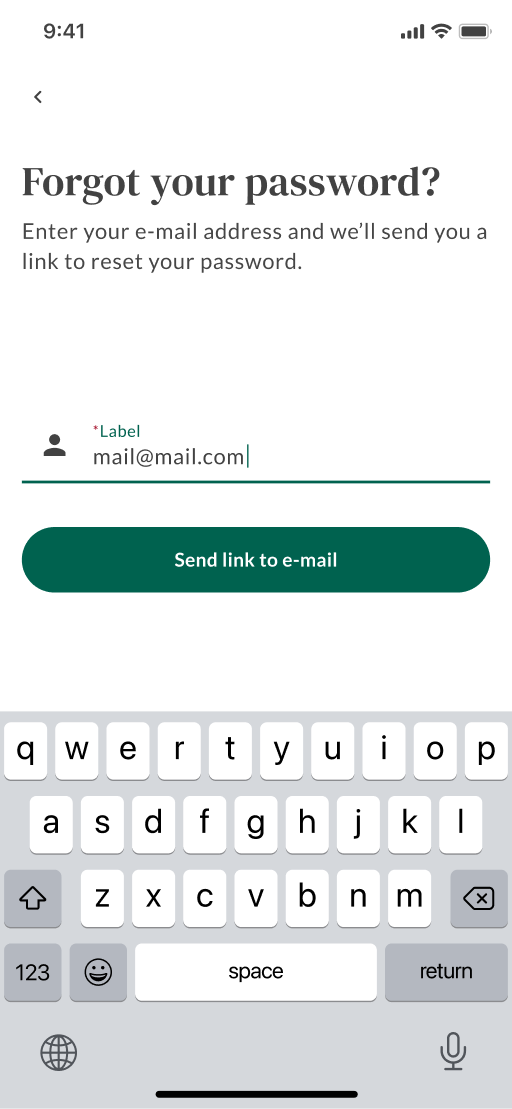 Forgot password — email entered